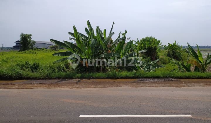 Tanah Industri Lingkar Weleri Kendal