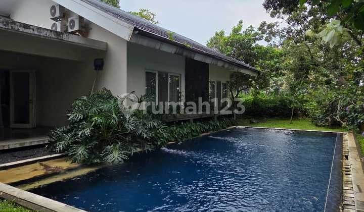 Rumah Nyaman dengan Kolam Renang di Sambiroto Semarang