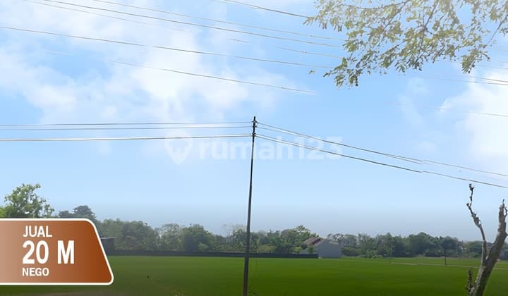 Tanah Strategis Pinggir Jalan Raya Dekat Tugu Tani Grobogan Purwodadi