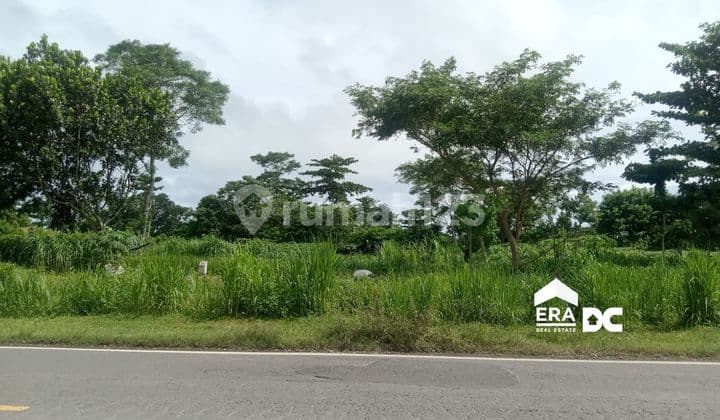 Tanah Murah Pinggir Jalan Lingkar Selatan Jawa Klirong Kebumen