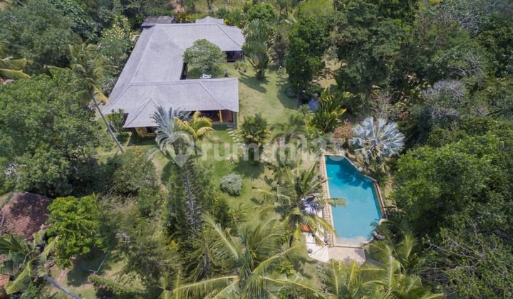 Villa Mewah Tropis Luas 71 Are SHM Tabanan Bali