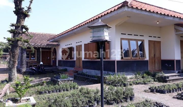 Rumah Siap Huni Sleman Dijual Cepat Aja!