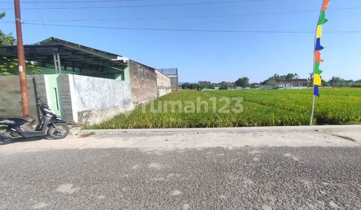 TANAH SAWAH DIJUAL – LOKASI STRATEGIS DEKAT STADION SULTAN AGUNG BANTUL YOGYAKARTA