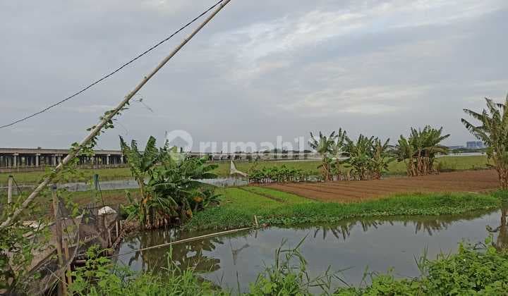 Tanah Super Murah Untuk Perumahan Dekat Tol Kawasan Industri