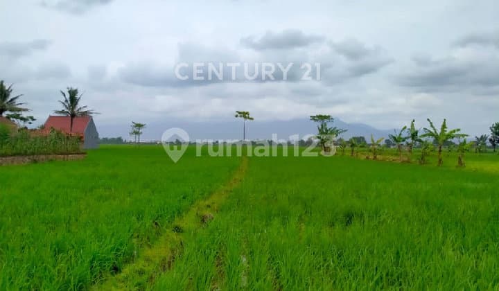 Tanah Mainroad Sapan Depan Komplek Puri Melia Asri Gedebage