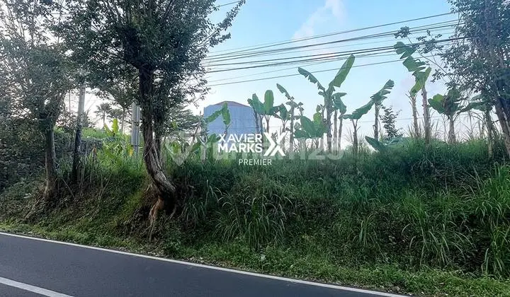 Tanah Prospektif Strategis Dekat dengan Kampus Ub di Dieng Malang