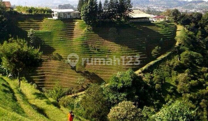 Tanah 10Ha Bonus Villa Resort View Cantik di Lembang Kota Bandung