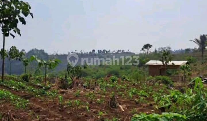 Tanah Zona Kuning Soreang Ciwidey Bandung Luas, Akses 2 Mobil