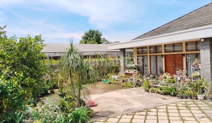 Rumah Ciumbuleuit Kota Bandung Dk Rsau Salamun +kebun Anggur