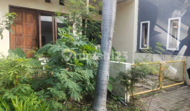 For Sale: Nice Cheap House in Bukit Palma Citraland, West Surabaya