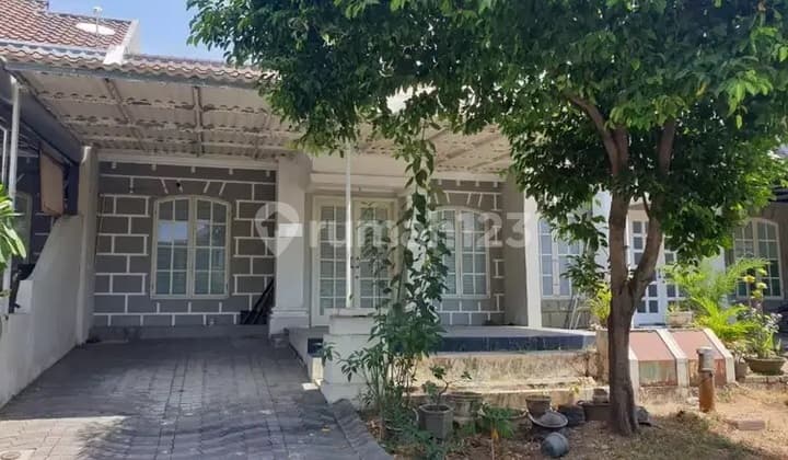 Rumah Murah Bagus Bukit Palma Classica Citraland Surabaya Barat