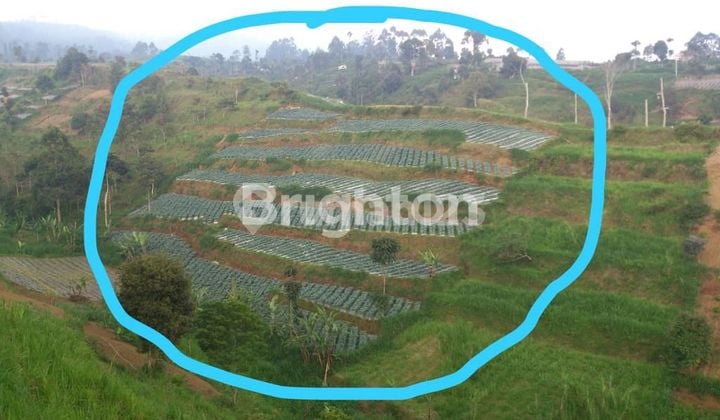 TANAH CANTIK COCOK UNTUK VILLA DI BANDUNG TANAH CANTIK COCOK UNTUK VILLA DI BANDUNG