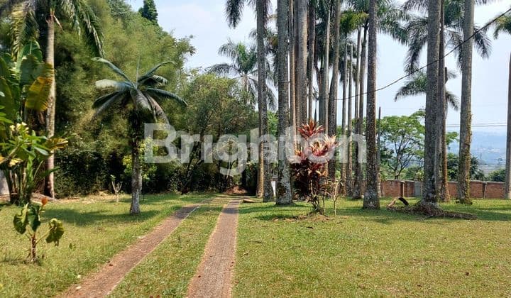 Lahan Datar Di Gunung Geulis Bogor Cantik Terawat