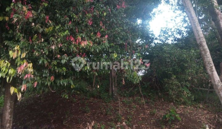 Tanah Matang Siap Bangun di Dago Resort Cocok untuk Villa