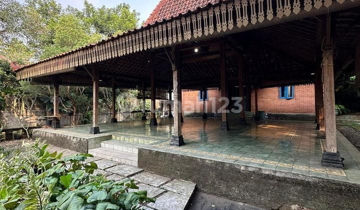 Rumah Dngn Halaman Luas Cocok Utk Usaha di Bintaro Tangsel 14316