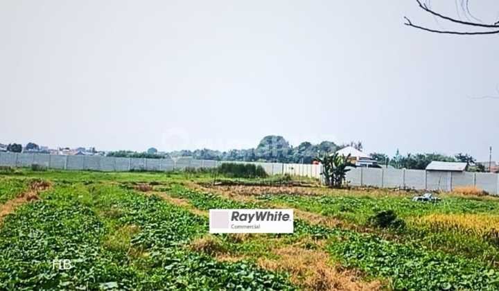 Kavling Komersil, Harga Murah, Tepi Jalan Raya, Strategis, di Neglasari, Dekat Bandara Mas, Tangerang .