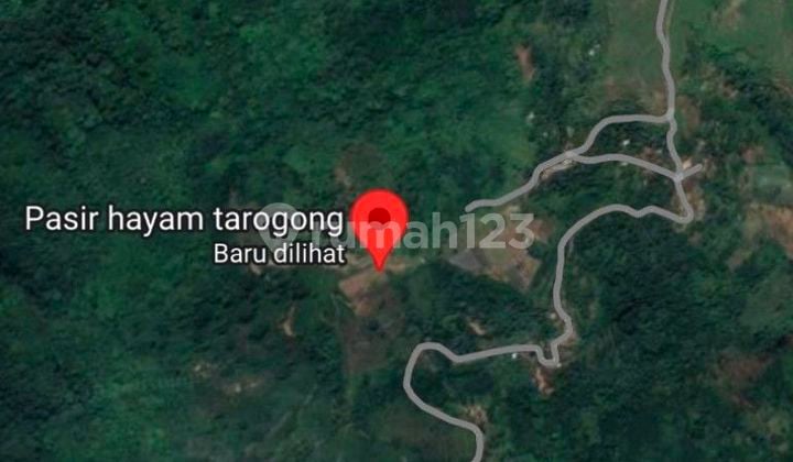 Jual Tanah Perkebunan Teh Pangalengan Bandung