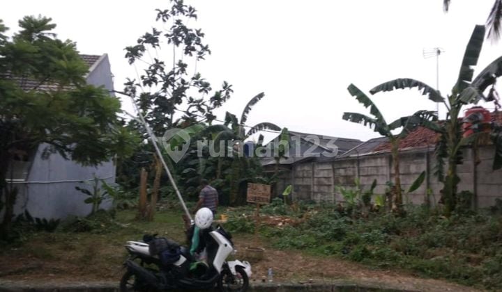 Kavling Dalam Perumahan Daerah Cikokol Kavling Dalam Perumahan Daerah Cikokol