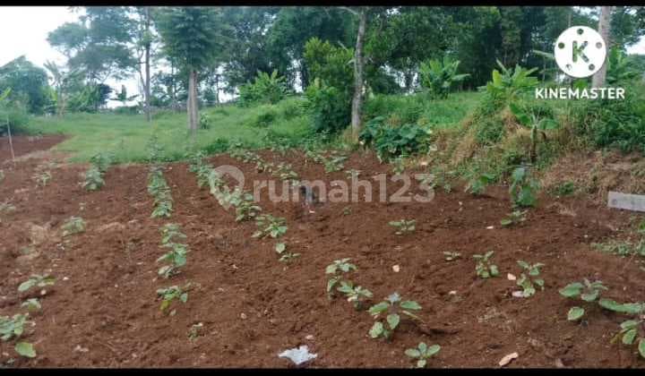 Dijual Tanah Blok Nyalindung, Kelurahan Citeureup Cimahi Utara.