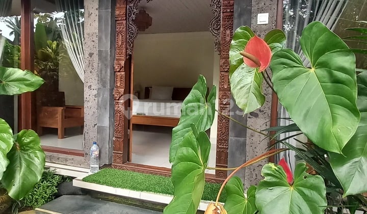 Apartment/Kost Available In Ubud