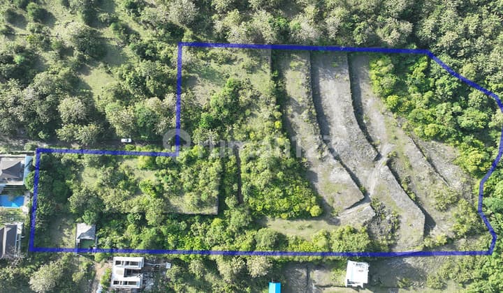 Tanah Dijual Balangan 20575 m2 Harga Termurah