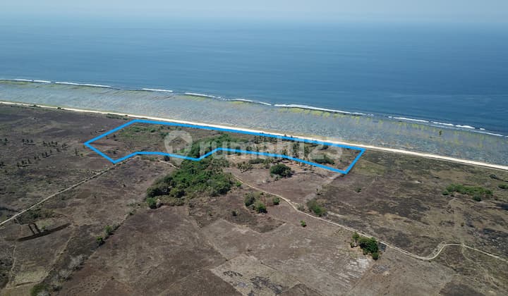 Tanah Kodi - Sumba Barat Daya 60000 m2 SHM