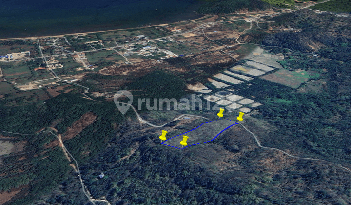 Tanah Dekat Pantai Pede Gorontalo Labuan Bajo