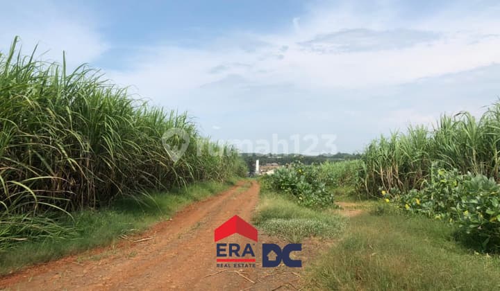 Tanah Murah Untuk Kawasan Industri Batang Dekat KITB