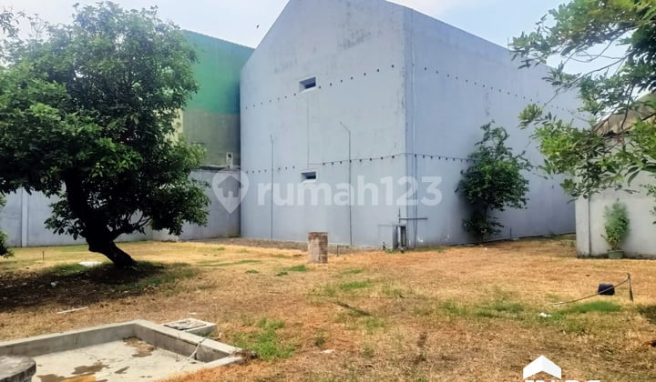 Tanah Bonus Rumah Walet Besar di Tanjung Pucang Kerep Kudus