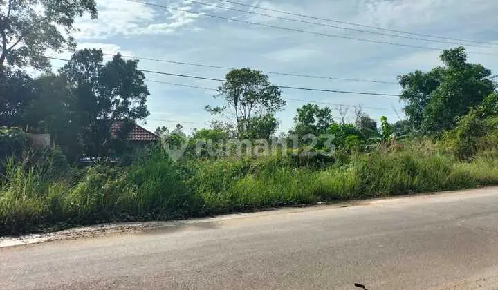 Tanah Luas Kawasan Pergudangan Banjar Baru Kalimantan Selatan