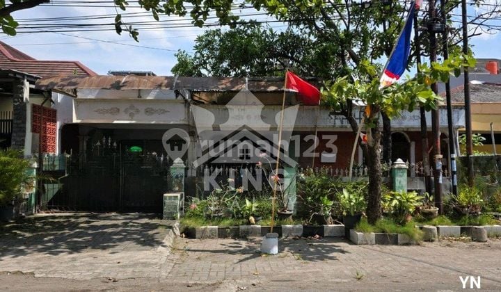 Di Jual Rumah Di Jalan Badak Raya Semarang Di Jual Rumah Di Jalan Badak Raya Semarang