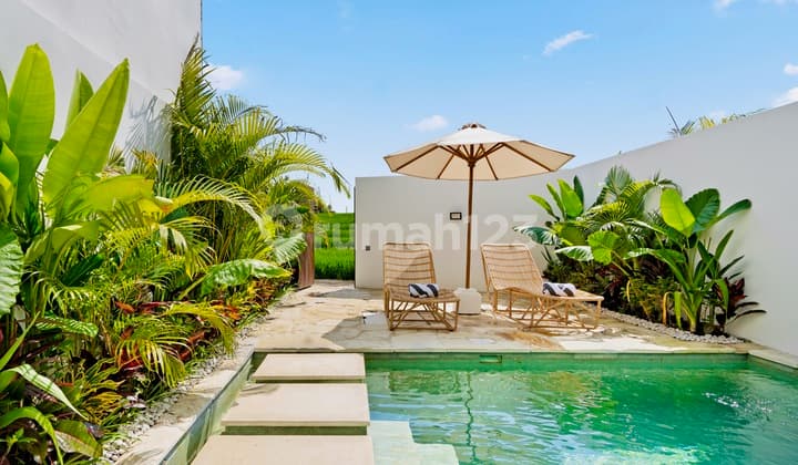Rental monthly villa 1 kamar dengan pemandangan sawah di canggu
