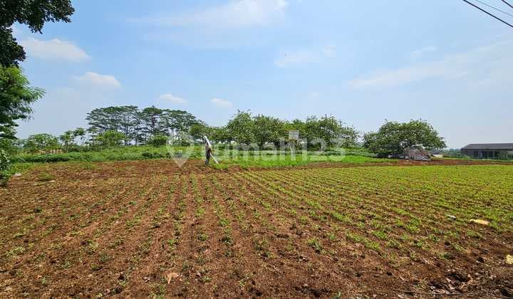 Tanah Strategis Komersil Shm 2 Ha Kayu Manis Tanah Sereal Bogor