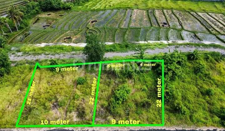 Tanah Hunian Villa Dijual Di Seseh Munggu Canggu