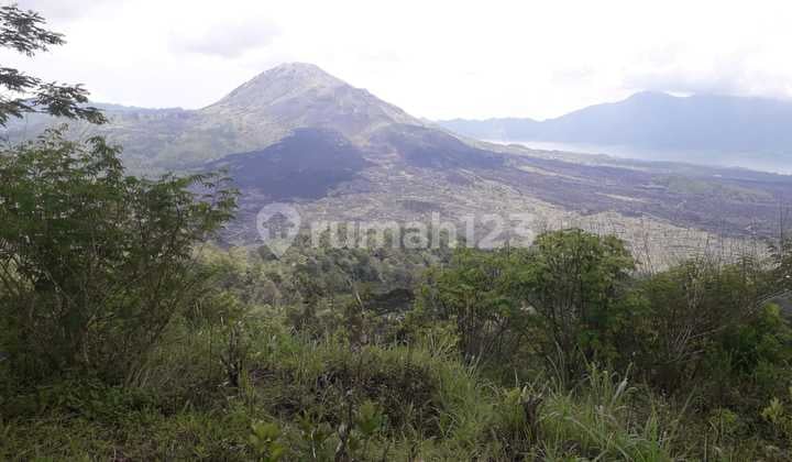 Disewakan tanah di Batur kintamani view gunung n danau