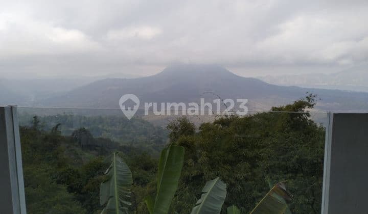 Dikontrakkan tanah datar di desa kintamani bangli