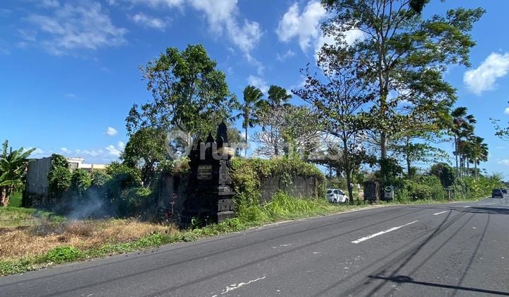 Jual tanah strategis,pinggir jalan utama angantaka