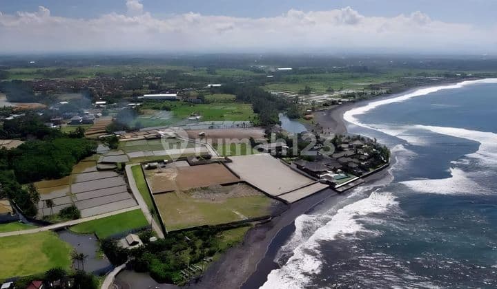 Lahan Loss Pantai di Ketewel Dekat.ubus