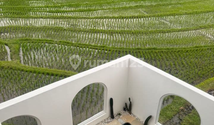 New Villa Disewakan di Pantai Nyanyi Beraban