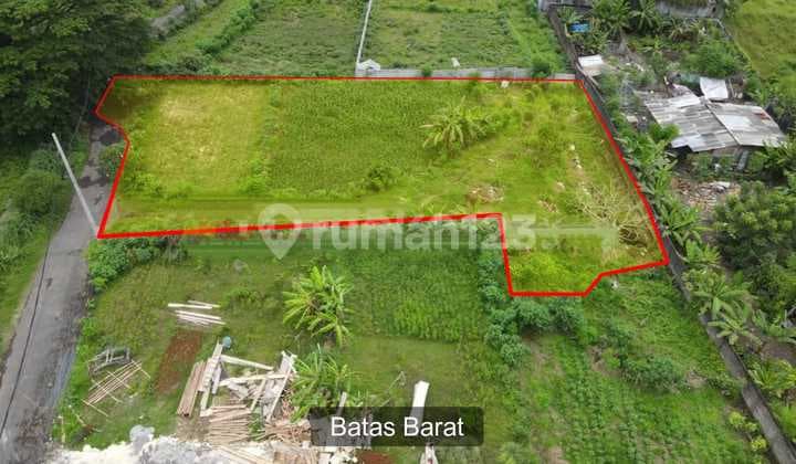 Jual Tanah Area Premium di Sanur Dekat Pelabuhan