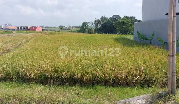 Dijual Tanah Area Villa Di Babakan Canggu