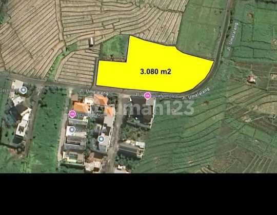 Tanah Premium Dijual Di Jl Pantai Cemagi Canggu Sangat Strategis