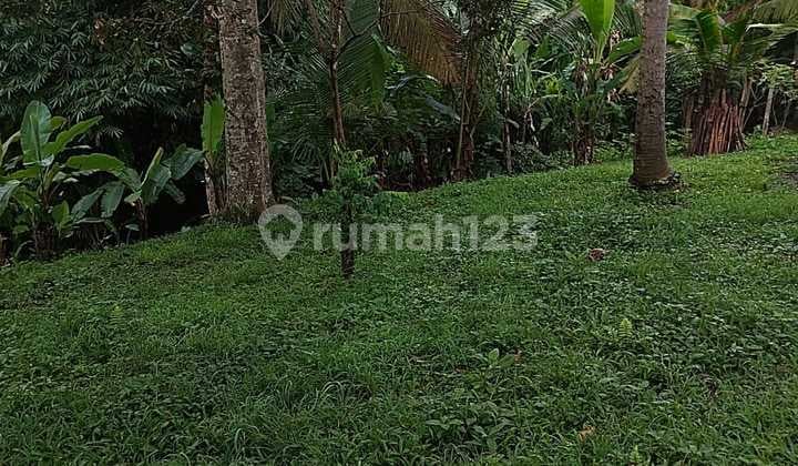 Tanah View Sawah N Lembah Di Tabanan Penatahan Jatiluwuh