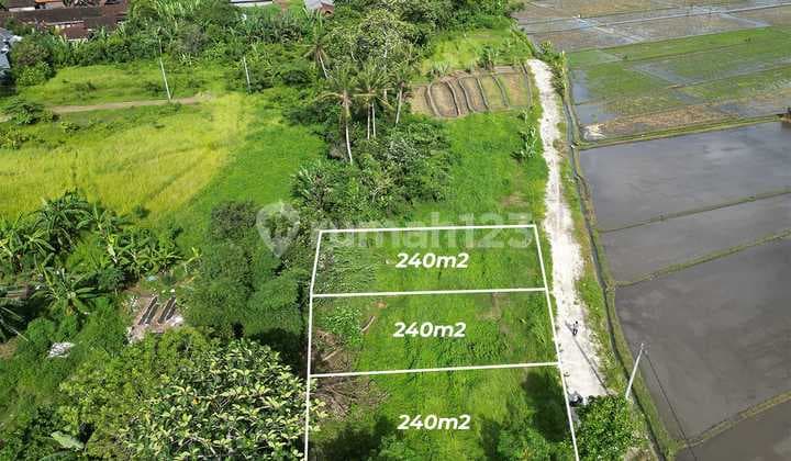 Tanah Dijual View Cantik Sawah Abadi Di Kedungu Tanah Lotu