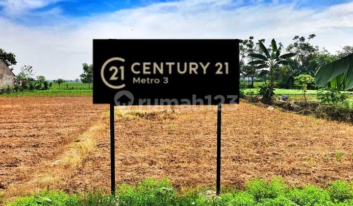 Tanah Luas Cocok Buat Usaha dan Strategis Dipinggir Jalan Babelan Bekasi