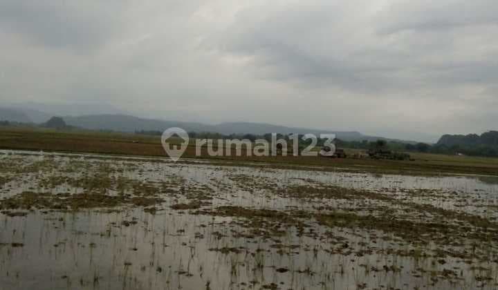 Dijual lahan sawah bisa peruntukan pabrik di bantimurung,sulawesi selatan