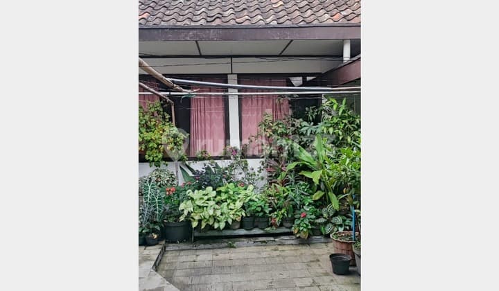 Rumah Mainroad di Tengah Kota