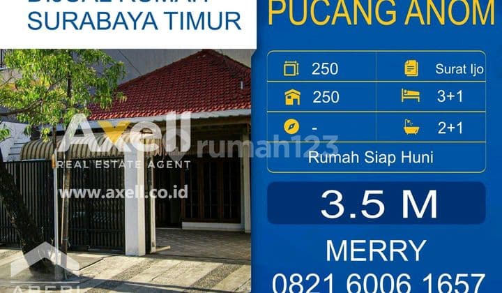 Pucang Anom House For Sale