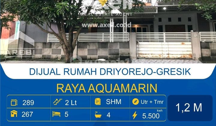 Araya Aquarium House in Driyorejo Gresik for Sale Araya Aquarium House in Driyorejo Gresik for Sale