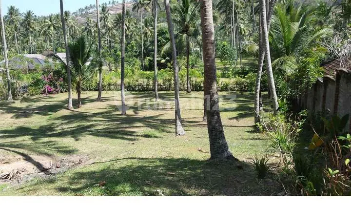 Dijual Tanah Shm Luas 5200 M² Di Ntb Strategis Daerah Wisata